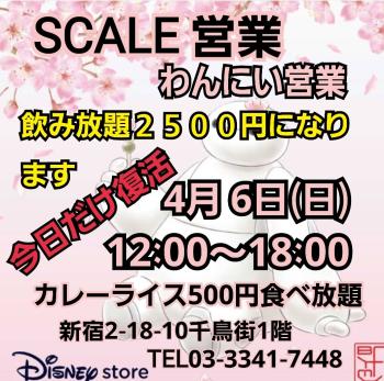 SCALE カレーライス食べ放題営業 1040x1032 217.4kb