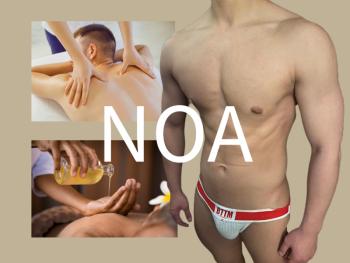 NOA  - 800x600 336.3kb
