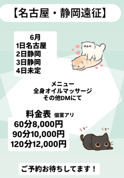 ゲイバー ゲイイベント ゲイクラブイベント 名古屋・静岡遠征