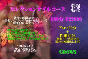 エレクションオイルコース180分  - 626x417 188kb
