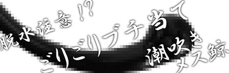 新・無料オプション 600x192 48.1kb