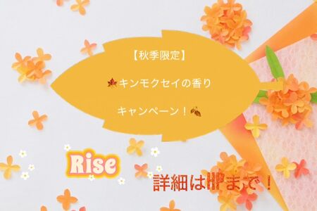 🍁キンモクセイの香り  キャンペーン！🍂 640x427 63.2kb