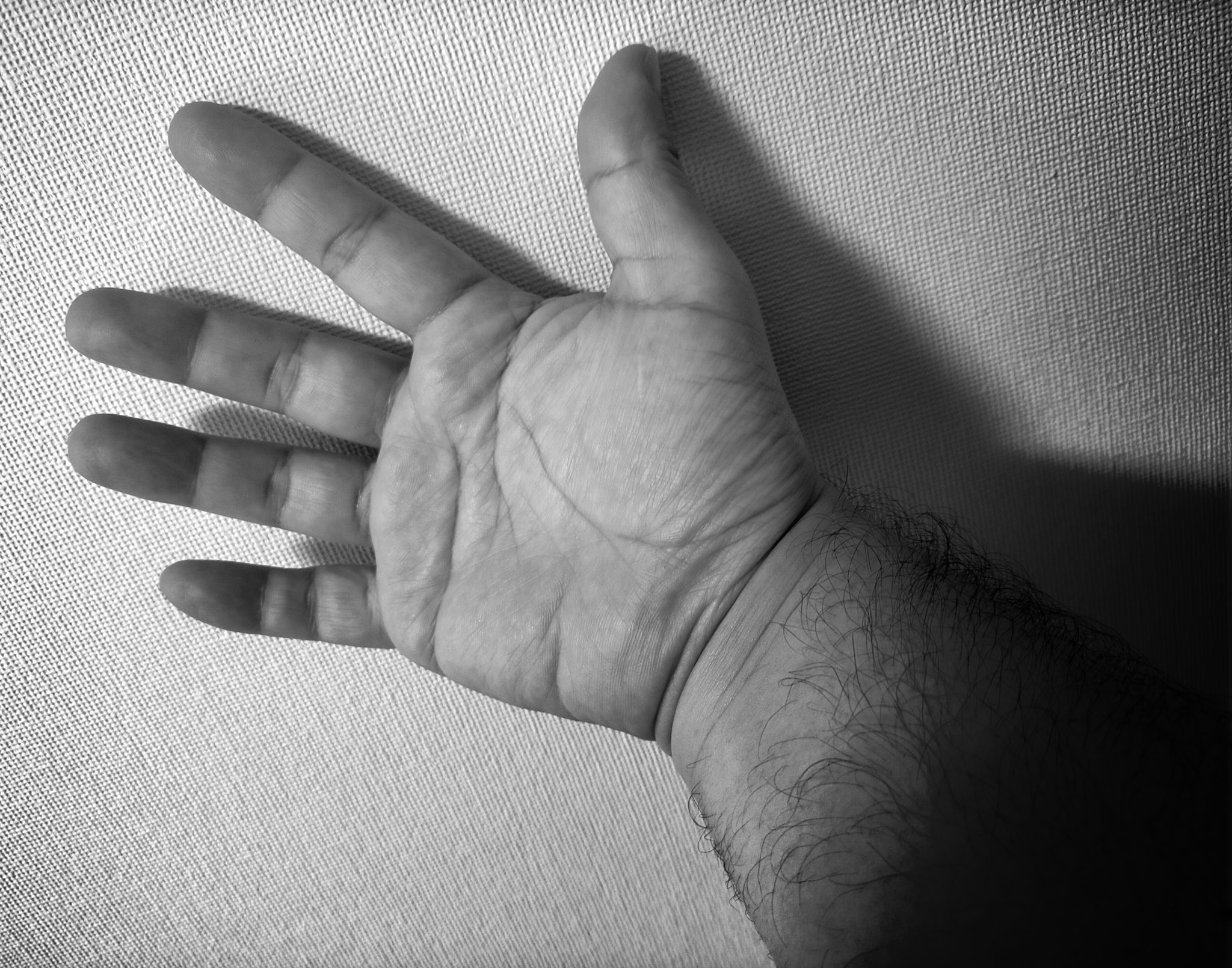 【柔熊】北海道（札幌）遠征（3/5(木)〜3/15(日)）