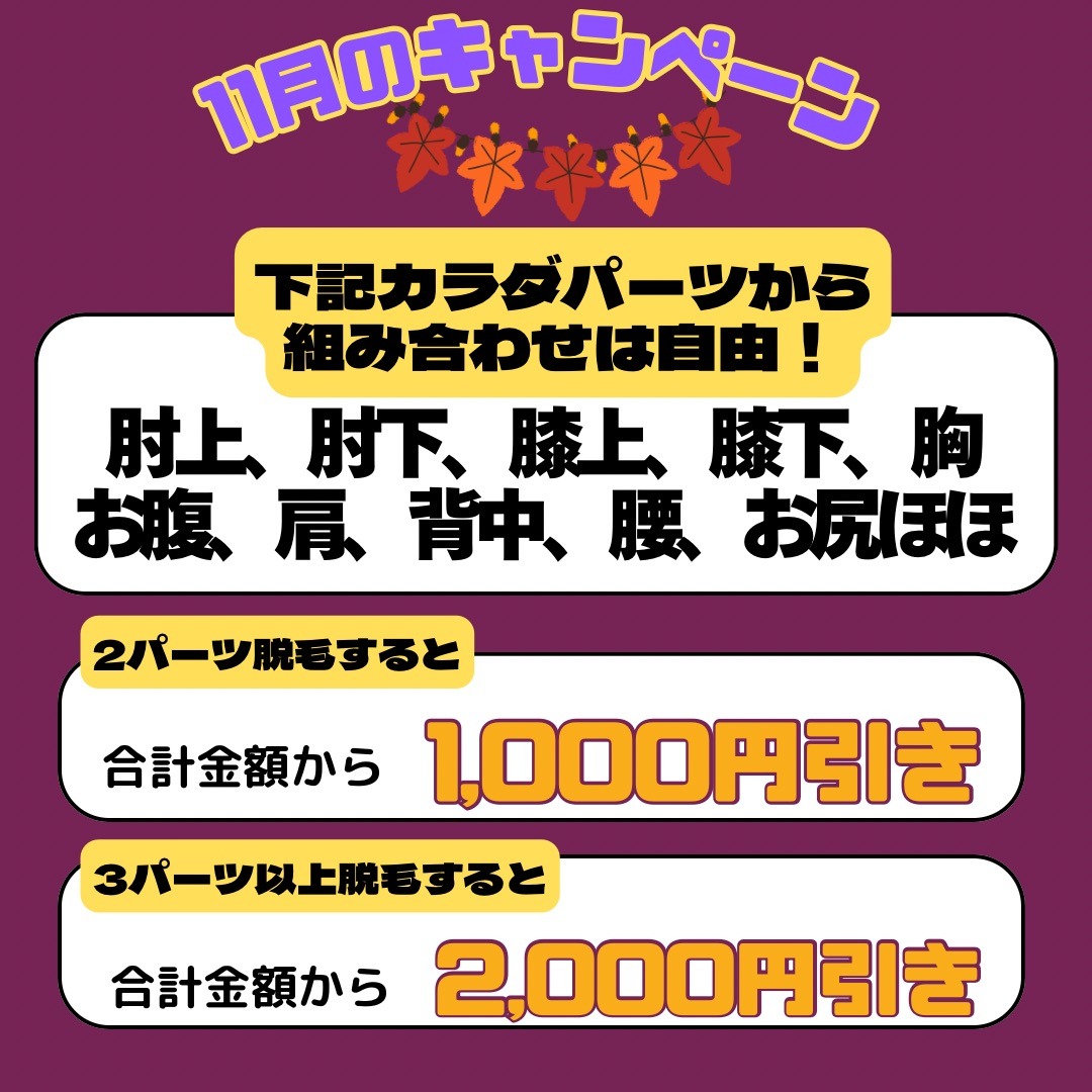 11月のキャンペーン