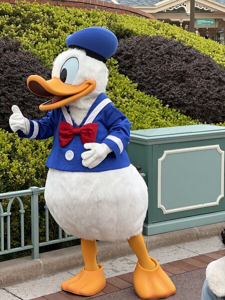 【レッドライン東京】求人&お客様向けご案内|安心・高収入・未経験OKのセラピスト募集 4032x3024 4832.3kb