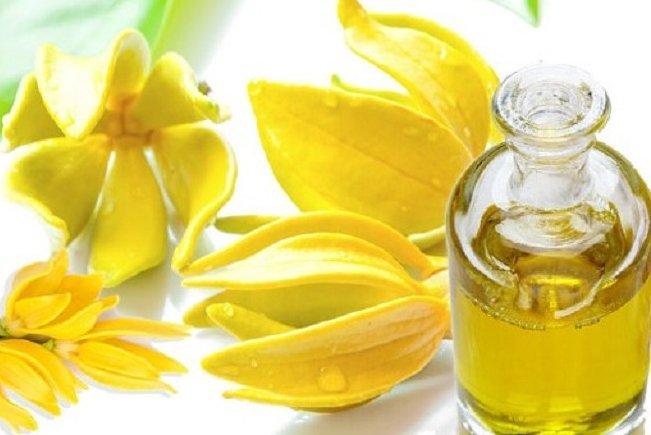 お年玉キャンペーン実施中