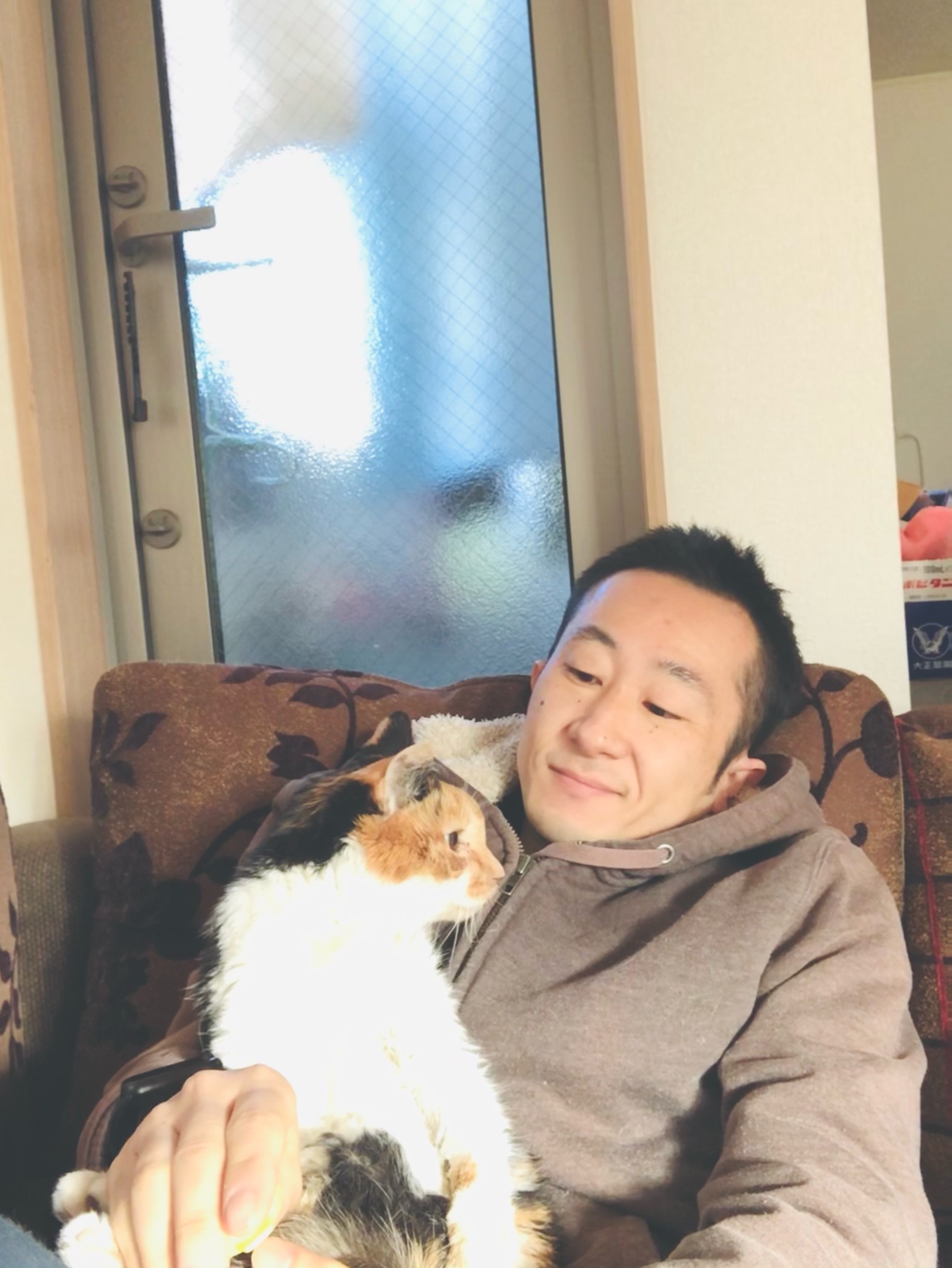 本日限定‼️🉐猫🈹のお知らせ