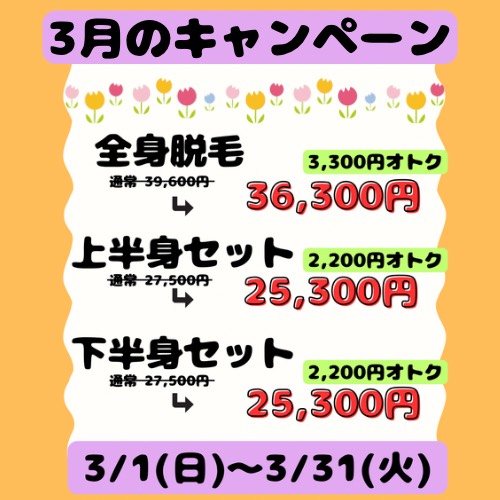 3月のキャンペーン