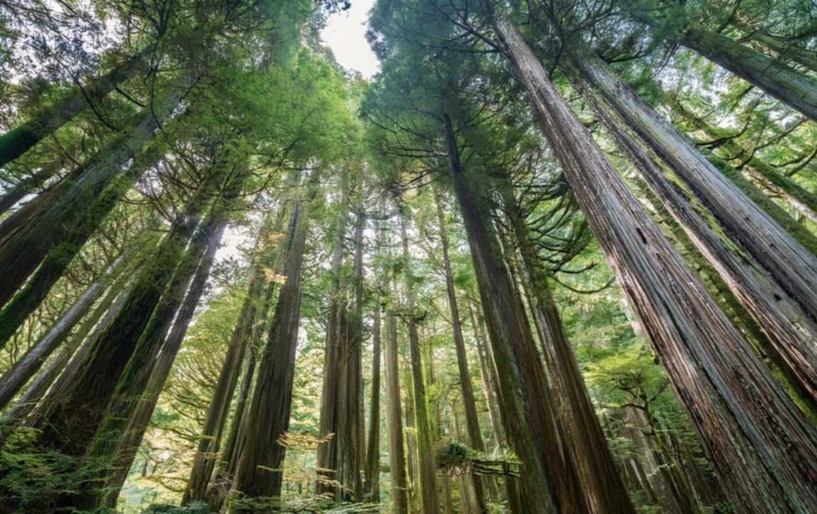 🍌ゲイマッサージ手技で筋肉男子がアソコまで揉みほぐし