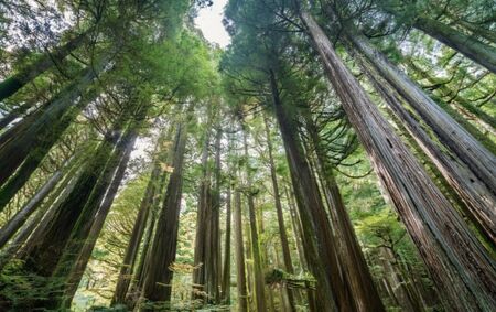 🍌ゲイマッサージ手技で筋肉男子がアソコまで揉みほぐし 1147x721 649.9kb