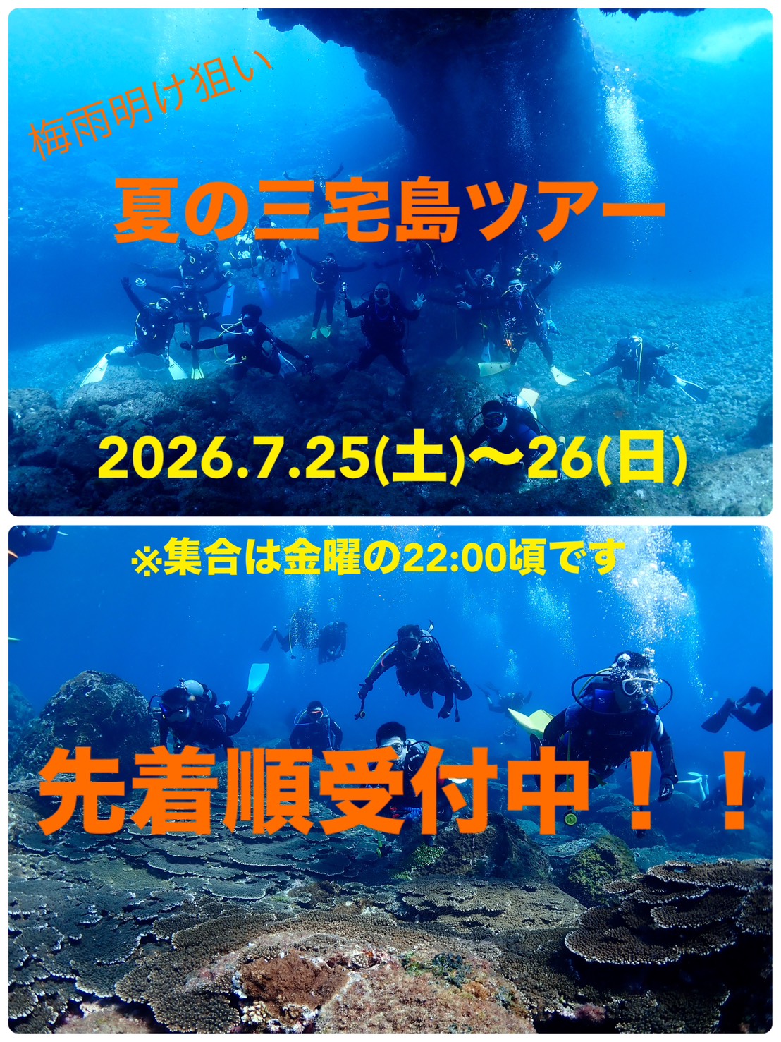 夏の三宅島ファンダイビングツアー開催します◆Gオンリー◆