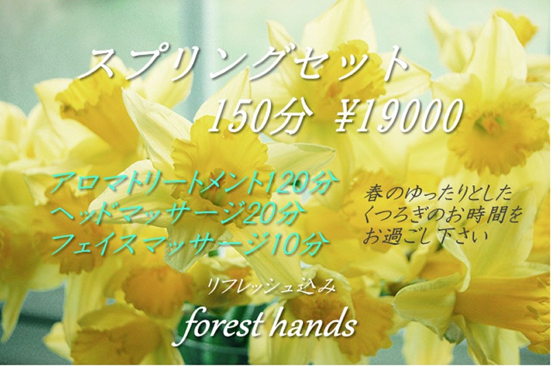 スプリングセット150分　\19000