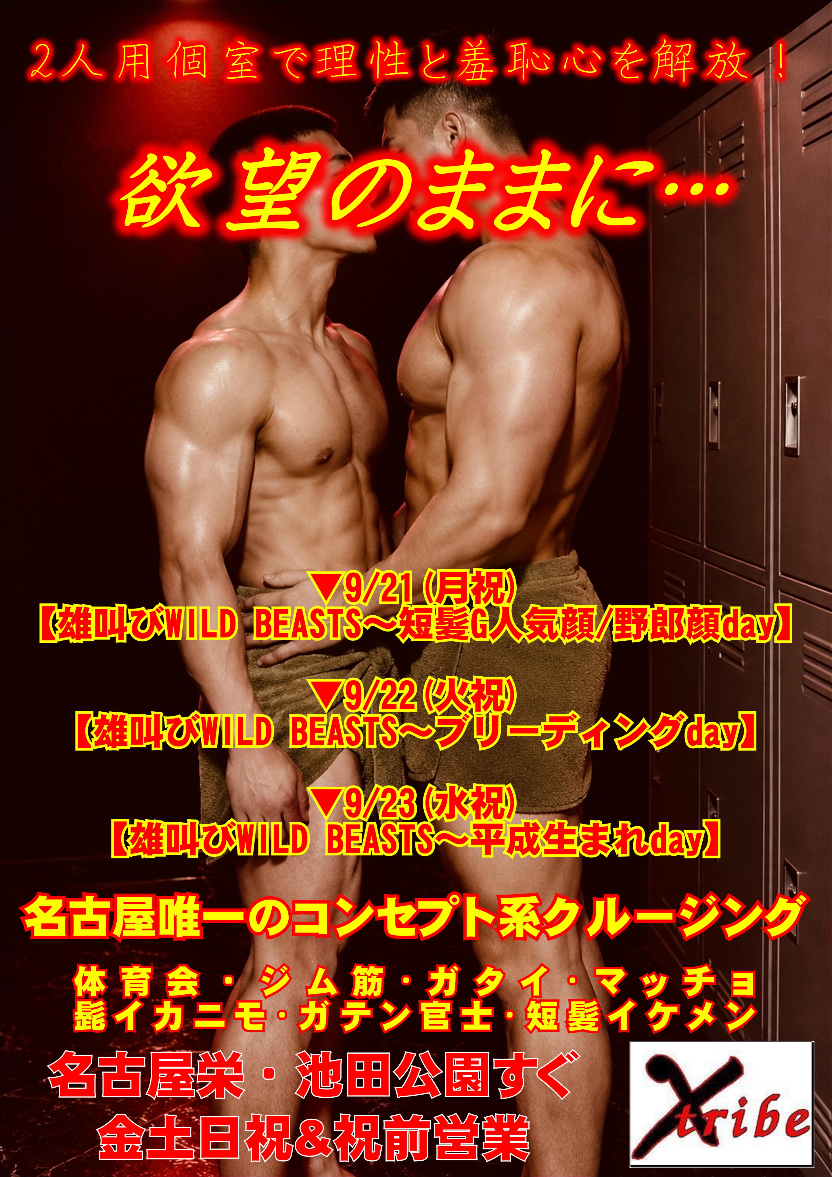 雄叫びWILD BEASTS さらに3days