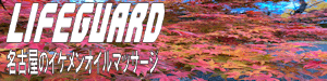 名古屋のオイルマッサージ-LIFEGUARD-