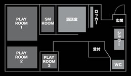 東京フルコンタクト - 東京都 新宿2丁目 クルージング - トウキョウフルコンタクト