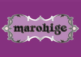 marohige - 東京都 新宿2丁目 ゲイバー - マロヒゲ