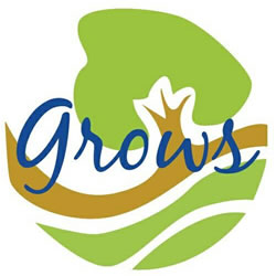 Grows - 大阪府 大阪キタ マッサージ  - グロース