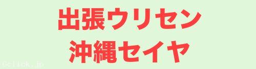 出張ウリセン沖縄セイヤ - 沖縄県 那覇 出張　売り専  - セイヤ