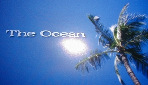 THE OCEAN - 沖縄県  ゲイバー  - オーシャン