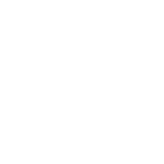 PLUM（梅）